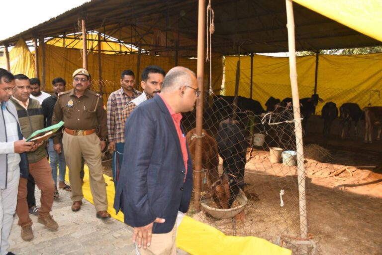 निराश्रित गोवंश आश्रय स्थल का निरीक्षण,शिकायत पर पंचायत सहायिका निलंबित