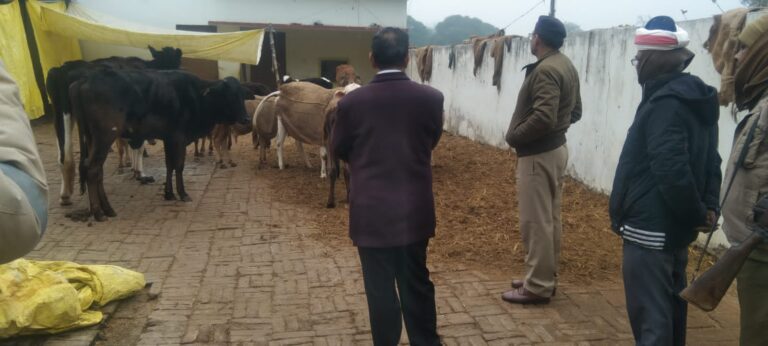 जिलाधिकारी के निर्देश पर विभिन्न अधिकारियों ने किया गो-आश्रय स्थलों का निरीक्षण,ठंड से बचाव हेतु लिया व्यवस्थाओं का जायजा