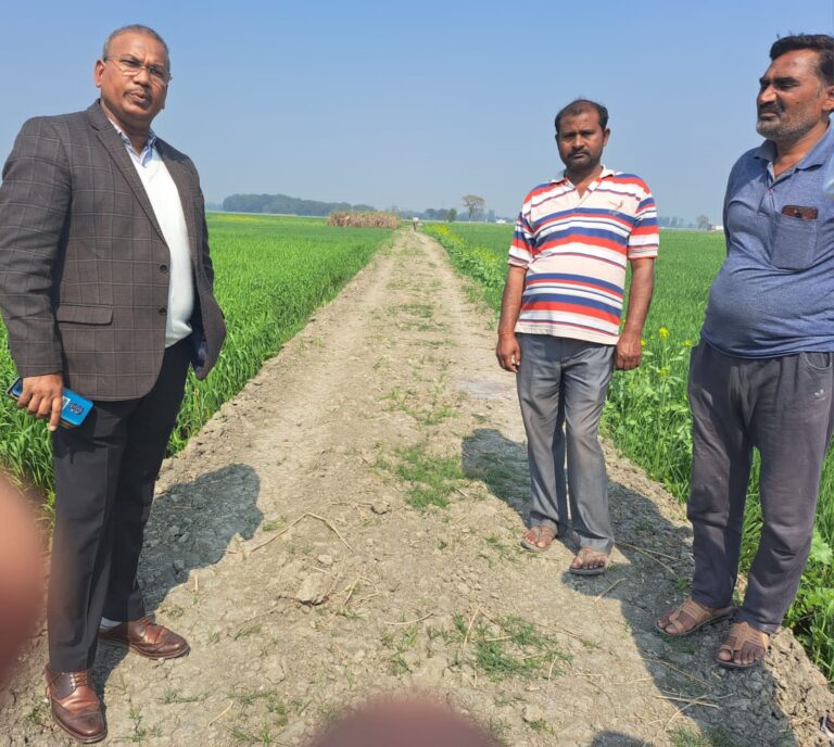 सीडीओ के निरीक्षण में मिली खमियां रोजगार सेवक की संविदा समाप्त करने के निर्देश