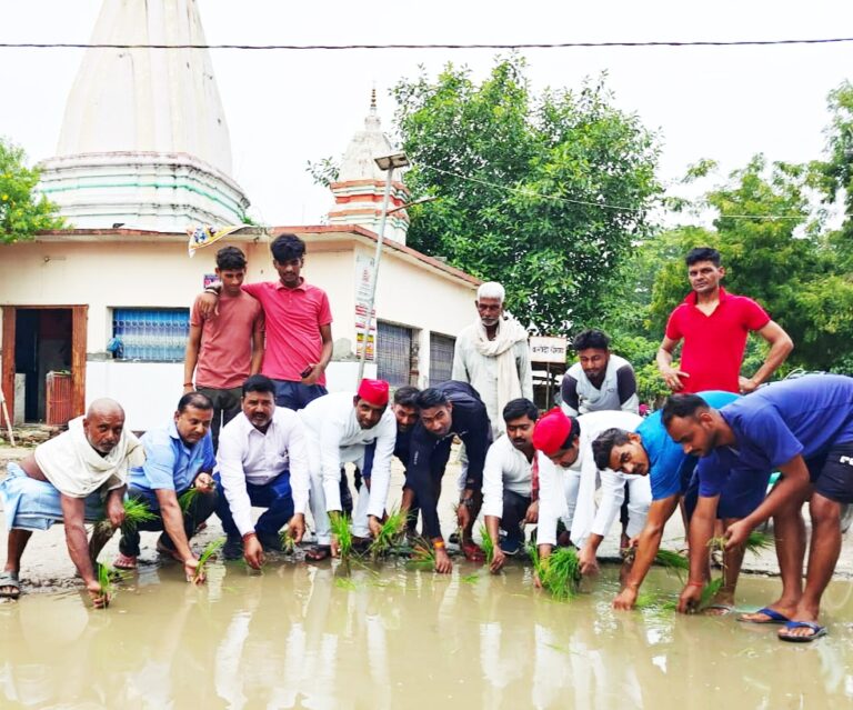 Deoria News करौदी चौराहे पर धान रोप किया विरोध प्रदर्शन Deoria News करौदी चौराहे पर धान रोप किया विरोध प्रदर्शन