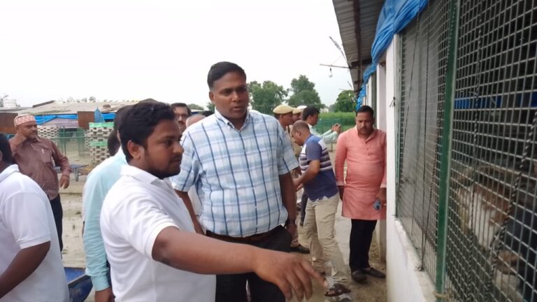 Deoria News बीटेक करने के बाद बकरी पाल कर 15 लाख रुपए प्रति वर्ष कमाता है देवरिया का यह युवक Deoria News बीटेक करने के बाद बकरी पाल कर 15 लाख रुपए प्रति वर्ष कमाता है देवरिया का यह युवक