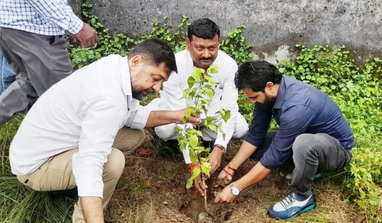 नगर पंचायत बरियारपुर के उच्च प्राथमिक विद्यालय भड़सरा देवरिया में किया गया पौधरोपण नगर पंचायत बरियारपुर के उच्च प्राथमिक विद्यालय भड़सरा देवरिया में किया गया पौधरोपण
