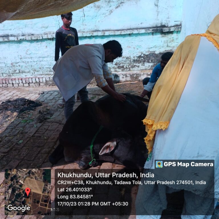 UP NEWS: यूपी की इस परियोजना से पशुपालकों को हो रहा लाभ