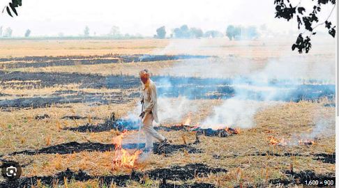 Deoria News:पराली को विक्रय कर अवशेष से लाभ प्राप्त कर सकते है  किसान