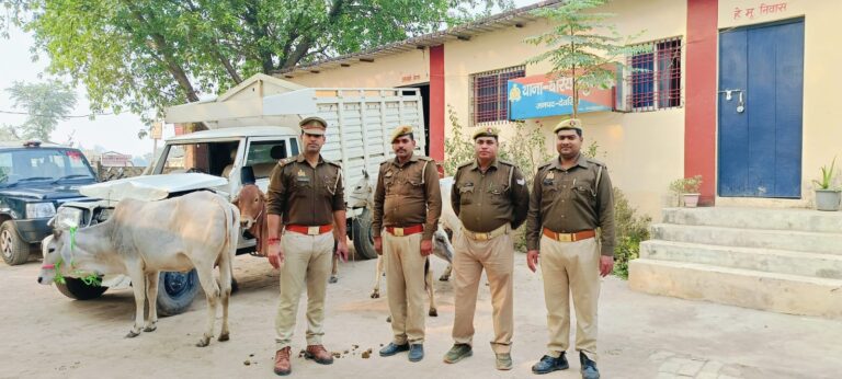 Deoria News:पुलिस ने पकड़ा गोवंश भरा पिकअप,एक गिरफ्तार Deoria News:पुलिस ने पकड़ा गोवंश भरा पिकअप,एक गिरफ्तार