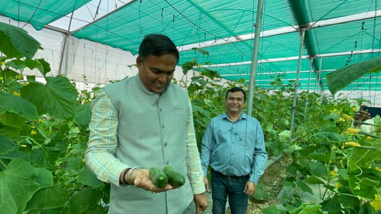 Deoria News:खेती में निवेश बना फायदे का सौदा, कमलेश ने पॉलीहाउस से लिखी कामयाबी की इबारत