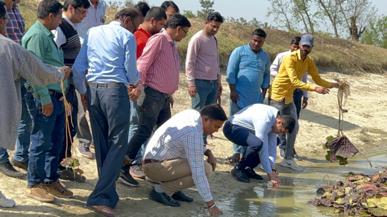देवरिया:गड़ेर गांव में डीएम और एसपी ने रोपा मखाना का पौधा, मखाना उत्पादक क्षेत्र बना देवरिया