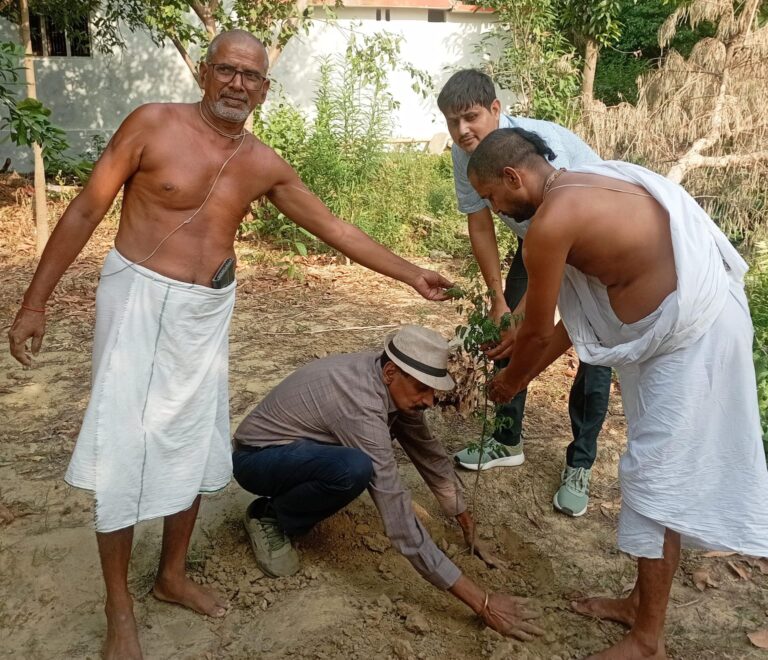 Bhatni News:पौधरोपण कर दिया गया पर्यावरण संरक्षण का संदेश